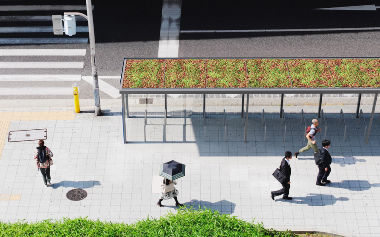 Marquesina con flores en el techo